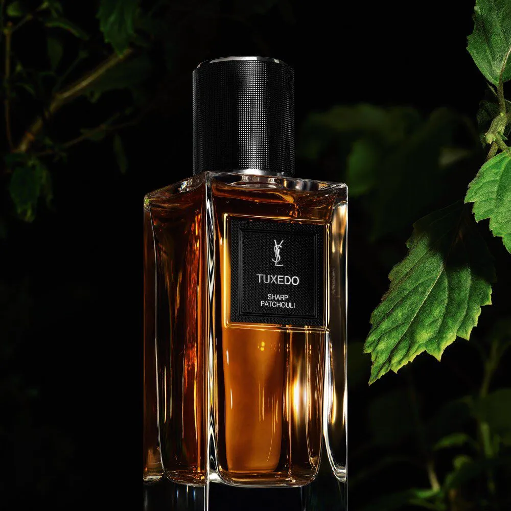 Tuxedo - Yves Saint Laurent