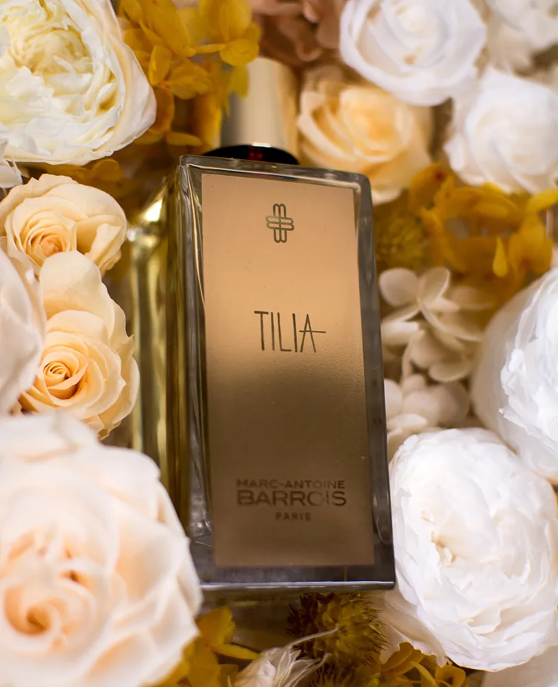 Tilia